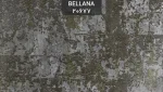 آلبوم کاغذ دیواری بلانا
