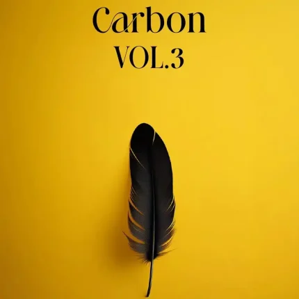 آلبوم کاغذ دیواری کربن جلد سه